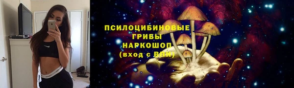винт Коряжма