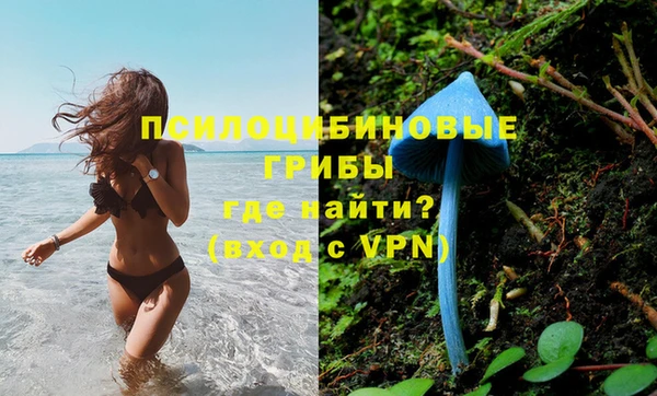 винт Коряжма