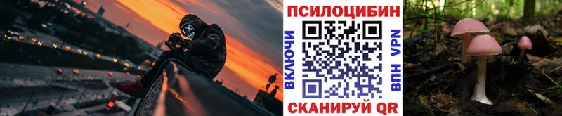 Купить закладки  Светлый  Галлюциногенные грибы Cubensis 